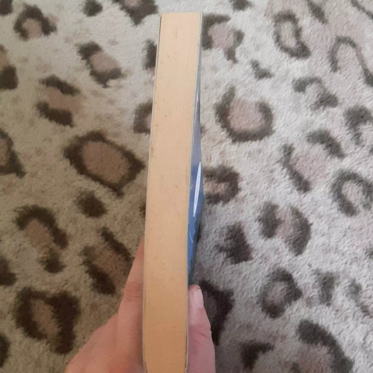 57693